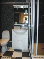 Prausyklė, dušo kabina, automatinė skalbyklė ir WC vienoje patalpoje.