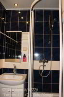 Higienos kambaryje praustuvė su veidrodžiu ir dušo kabina