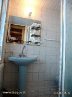 Bathroom shower, sink and toilet are in one room.