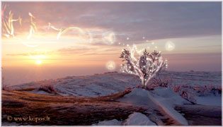 Kalėdų rytą kopose pabunda gyvybės medis, pasklinda stebuklingi linkėjimai